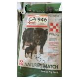 Purina sow  and pig feed 2025 -11 bags