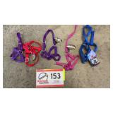 Livestock harness-5