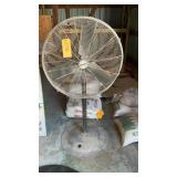 Fan