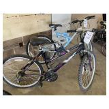 Next Bycycles-2 (18 Speeds)