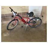 Schwinn 10 Speed