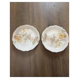 These antique Haviland & Co Limoges porcelain