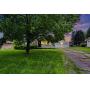 Online Real Estate Auction 