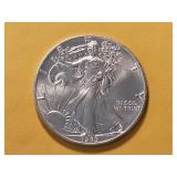 GEM BU 1989 American Silver Eagle