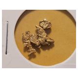 GOLD! California Gold Nuggets!