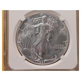 NGC 1987 American Silver Eagle in MS69