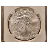NGC 2012(S) American Silver Eagle in MS69