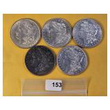 Five Lightly Circulated Morgan Silver Dollars