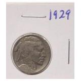 1929 Buffalo Head Nickel