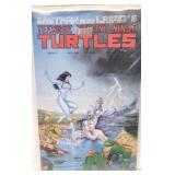 #27 Teenage Mutant Ninja Turtles Comic