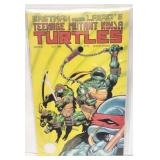 #26 Teenage Mutant Ninja Turtles Comic