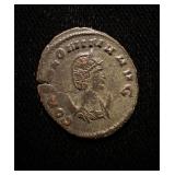 UNC Gallienius/Wife Animal Series Glossy