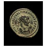 VF+ Maxiamianus