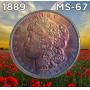 Friday Amazing Morgans, World, Ancients, Cents & More