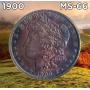 Saturday Wild Morgans, World, Gold, Cents, Ancients & More