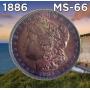 Saturday Cool Morgans, World, Cents, Ancients, Gold, Type