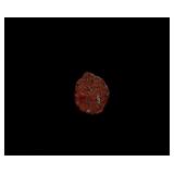 269-271 AD Victorinus AE Anton Ancient Rome