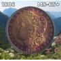 Thursday Cool Morgans, Ancients, Cents, Gold, Type Coins