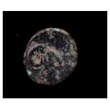 200 BC Ancient Greek Bronze Coin Rams Head