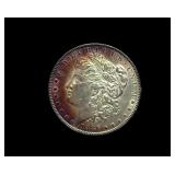 1886 Morgan Wonderful Toning