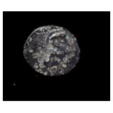 200 BC Ancient Greek Bronze Coin Rams Head