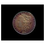 1882 Morgan Golden Purple