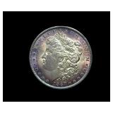 1887 Morgan Purple Toning