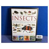 HB Book: Insects By Martin Walters 2012