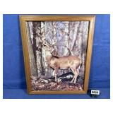 Artwork: Buck Photo Framed 18.5'x22.5'