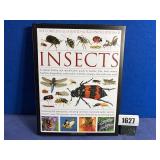 HB Book: Insects By Martin Walters 2012