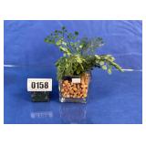 Artificial Fern Plant in Square Glass Vase