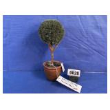 Artificial Ball Topiary Tree in Clay Pot