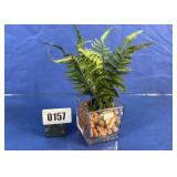 Artificial Potted Fern in Square Glass Vase