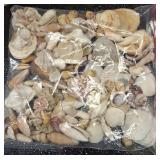 2 Pounds of Shells