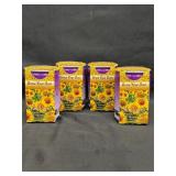 Set of 4 Sunflower 'Grow Your Own' Kits