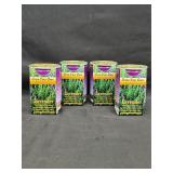 Set of 4 Lavender 'Grow Your Own' Kits
