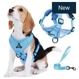 Blue Dog Harness Small Pet Vest & Leash Set