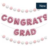 Pink Class of 2026 Felt Banner w/ Garland