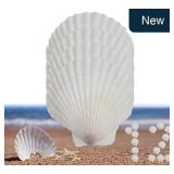 12 Pcs Large White Scallop Shells 3.5-4 Inch