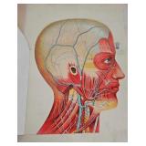 Western Publishing Anatomical Portfolio
