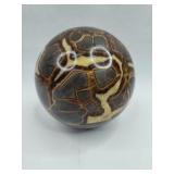Polished Septarian Concretion Sphere