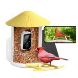 NETVUE by Birdfy Smart Bird Feeder with 2K AI Came