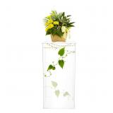 SpaceBovae 12*12*24in Clear Acrylic Boxes Display