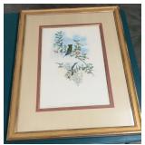 32' X 24' John Gould Hummingbird Lithograph