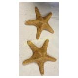 pair of genuine dried starfish 8" & 9" Nice!