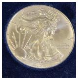 2013 $1 silver American eagle mint in orig holder