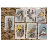 trading cards useful birds of America arm & hamme
