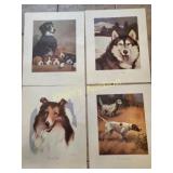 lot of 4 vtg color art prints of dogs by Wesley D