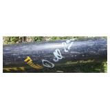 Detroit Tigers, Darrell Evans Game Used Baseball Bat