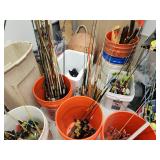 Large Collection of Ice Fishing